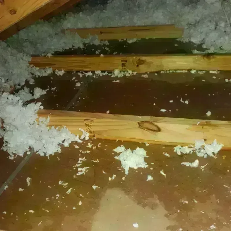 Attic Water Damage in Chula Vista, CA